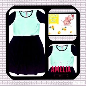 color block LuLaRoe Amelia Dress